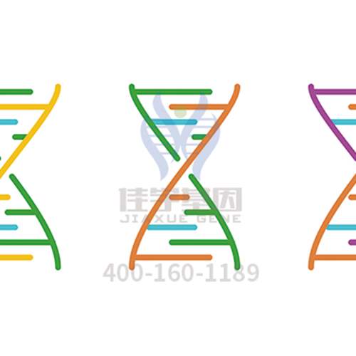 【眼科遗传病】<font color='red'>BEST</font>病基因解码、<a href=http://www.hnwpmy.com/tk/jiema/cexujishu/2021/31933.html>基因检测</a>